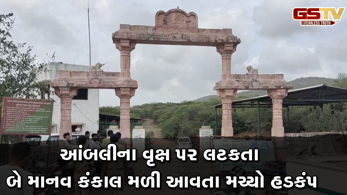 ભાણવડના બરડા ડુંગરમાં આંબલીના વૃક્ષ પર લટકતા બે માનવ કંકાલ મળી આવતા મચ્યો હડકંપ