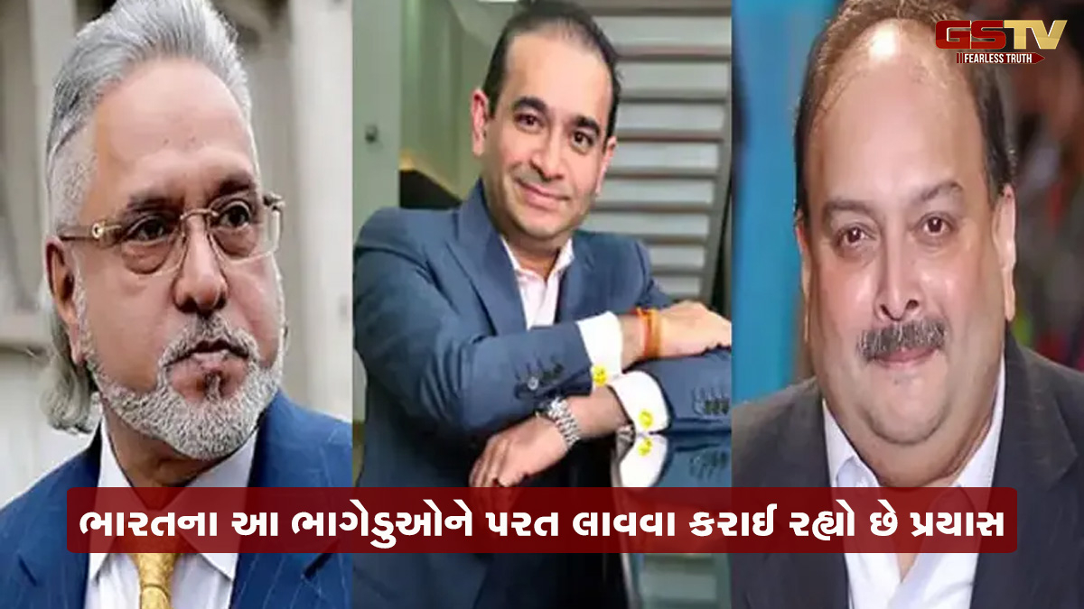તહવ્વુર જ નહીં, માલ્યા- નીરવ મોદી સહિત આ મોસ્ટ વોન્ટેડ, ભાગેડુઓના પ્રત્યાર્પણ માટે ભારત કરે છે પ્રયાસ