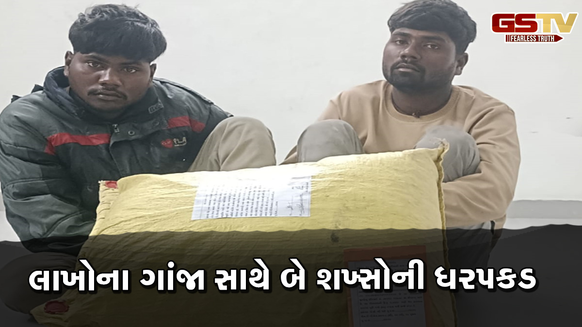 હળવદ હાઈવે પર 6 કિલોના ગાંજા સાથે બે શખ્સોને SOGએ દબોચ્યા, લાખોનો મુદ્દામાલ પોલીસે કર્યો જપ્ત