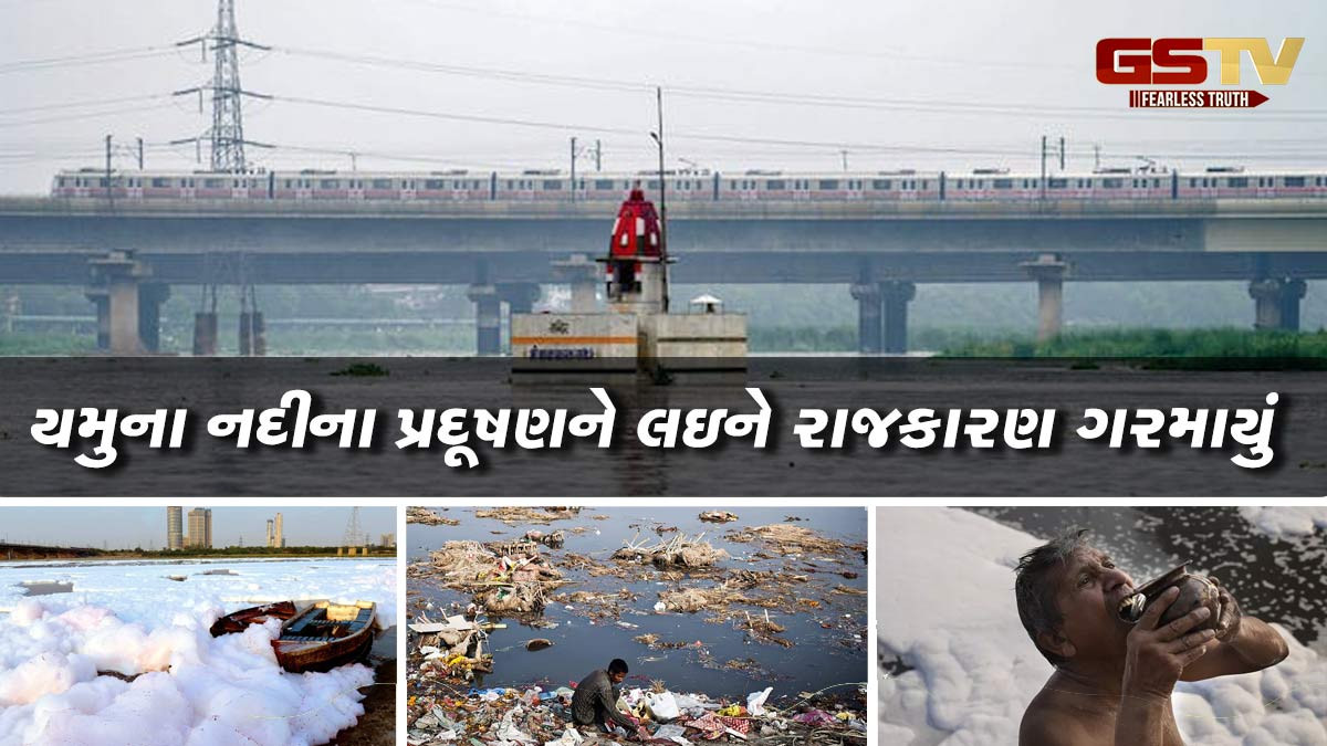 યમુના નદીની દુર્દશા: હજારો કરોડ રૂપિયા ખર્ચ્યા પછી પણ પાણી ઝેરી અને કાળું કેમ દેખાય છે?