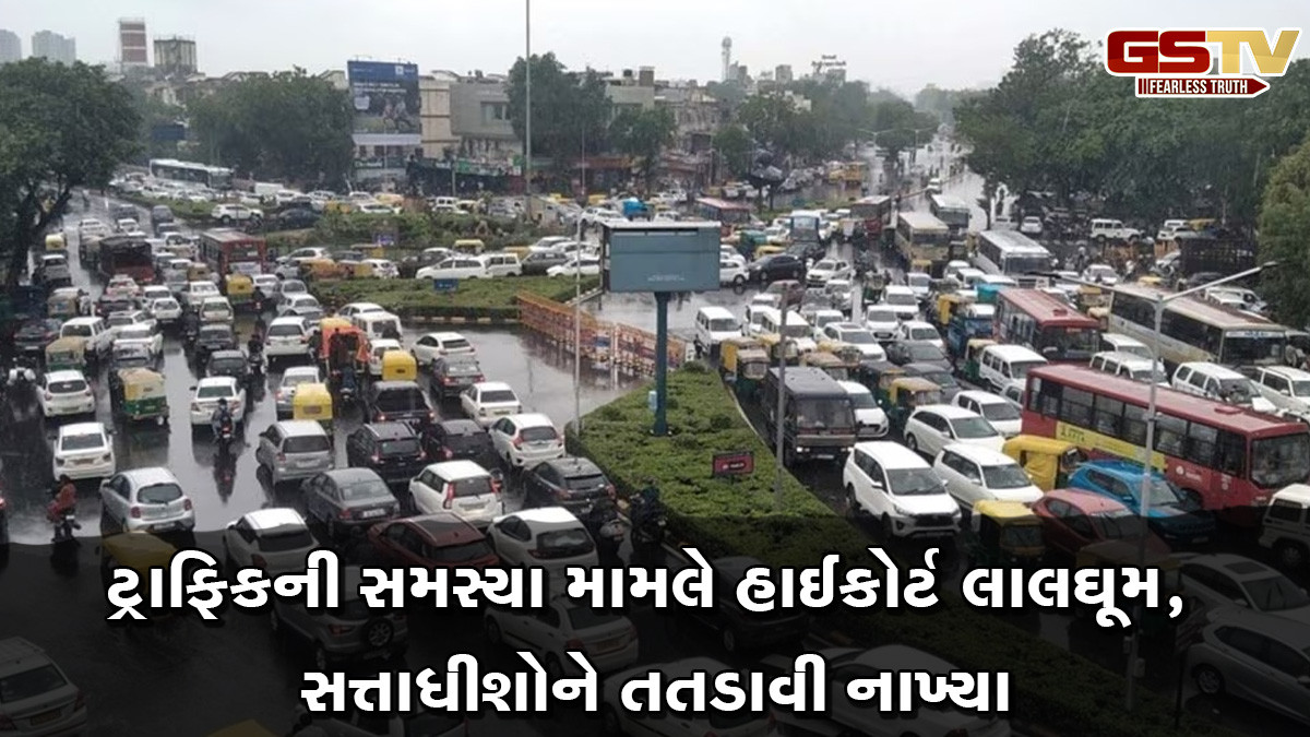 પોલીસના જવાનો કામ ના કરતા હોય તો કેમ પગાર ચૂકવો છો, રસ્તા પર દબાણો મામલે હાઈકોર્ટ લાલઘૂમ