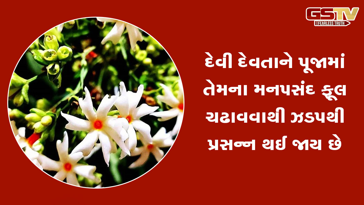 આ ફૂલો દેવી લક્ષ્મીને પ્રિય માનવામાં આવે છે, જો પૂજામાં ચઢાવવામાં આવે તો મહાલક્ષ્મી થાય છે પ્રસન્ન