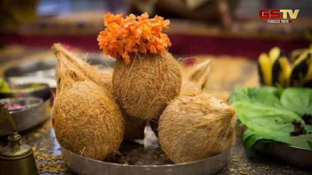 દુર્લભ નારિયેળ ઘરમાં બાળકના જન્મથી લઈને વ્યવસાયમાં નફા સુધી સુખ અને સમૃદ્ધિ લાવે છે, જાણો પદ્ધતિ