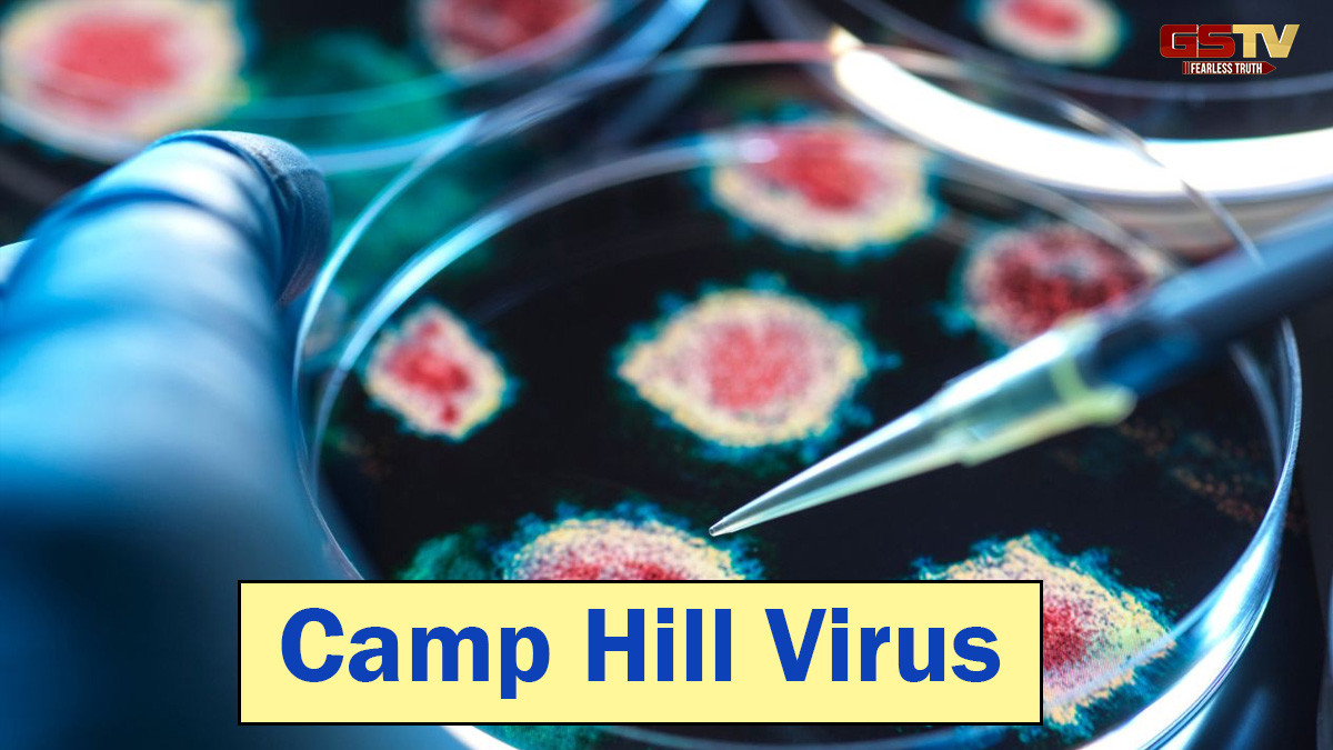 Camp Hill Virus/ આ જીવલેણ વાયરસ પહેલીવાર મનુષ્યોમાં જોવા મળ્યો, જાણો કેટલો ખતરનાક હોઈ શકે છે
