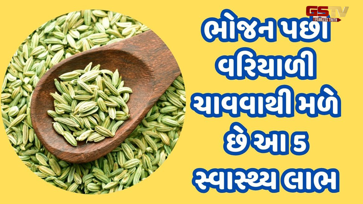 ભોજન પછી વરિયાળી ચાવવાથી મળે છે આ 5 સ્વાસ્થ્ય લાભ, નિરોગી રહેવા માટે જરૂર કરો સેવન