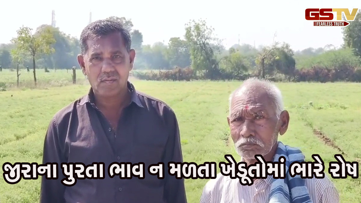 સુરેન્દ્રનગર: જીરાના પુરતા ભાવ ન મળતા ખેડૂતોમાં ભારે રોષ, તંત્ર સામે બાંયો ચઢાવી
