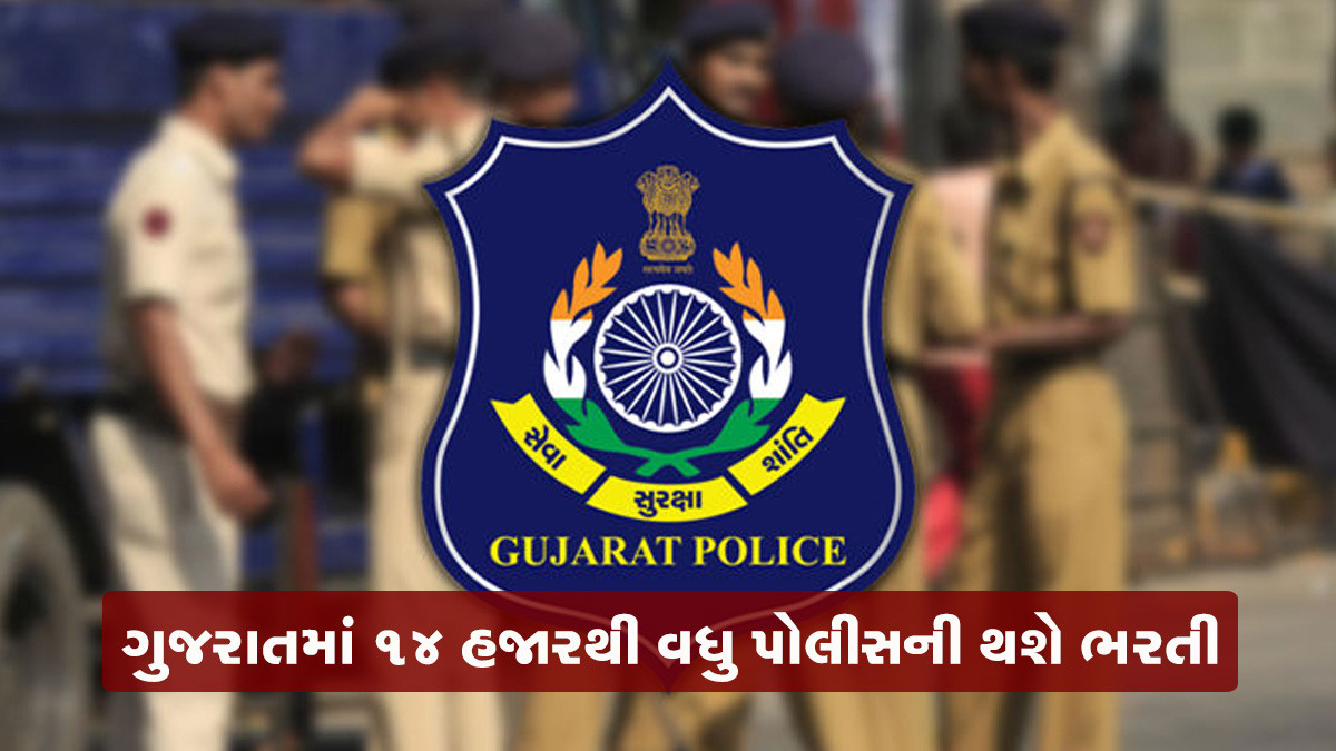Gujarat Budget: ગુજરાતમાં સાયબર સેન્ટર ઓફ એક્સેલન્સ બનશે, 14 હજારથી વધુ પોલીસની થશે ભરતી
