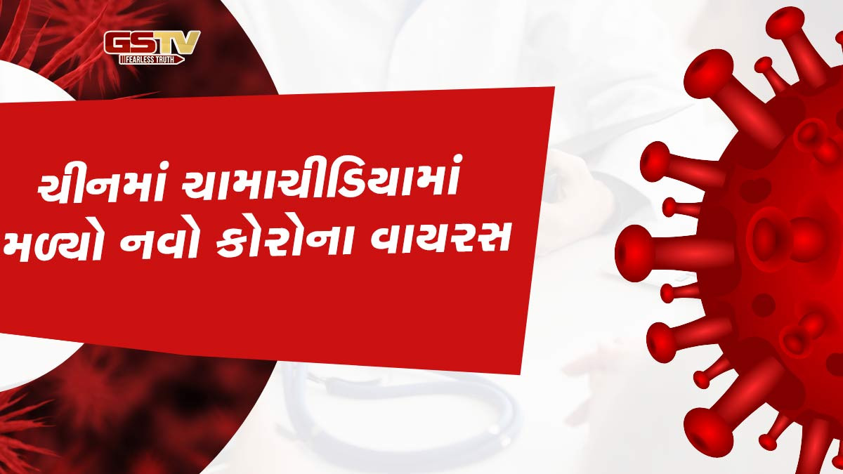 ચીનમાં કોરોના જેવો વાયરસ મળતા હડકંપ, જાનવરથી માણસમાં ફેલાવવાનો ખતરો