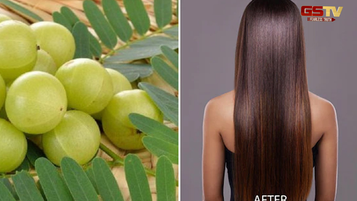 Hair Tips: ઘરે મિનિટોમાં બનાવો કેમિકલ ફ્રી શેમ્પૂ, આમળામાંથી શેમ્પૂ બનાવવાની રીત છે સરળ