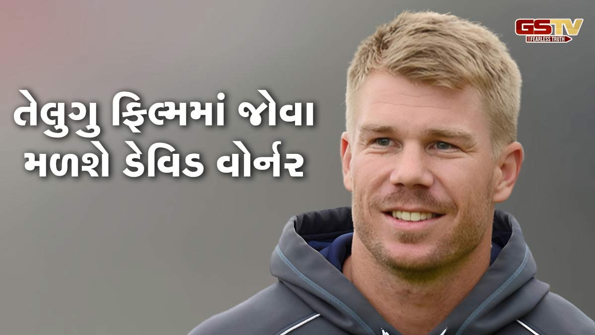 ક્રિકેટર ડેવિડ વોર્નર સાઉથ ફિલ્મ ઇન્ડસ્ટ્રીમાં કરશે એન્ટ્રી, આ ફિલ્મમાં જોવા મળશે