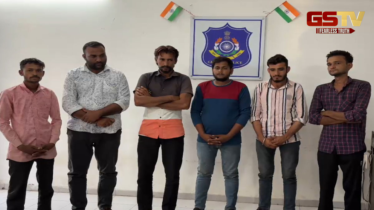 આણંદમાં ઢોર ડબ્બામાં તોડફોડ કરી 50 કરતાં વધુ પશુઓ લઈ ટોળકી ફરાર