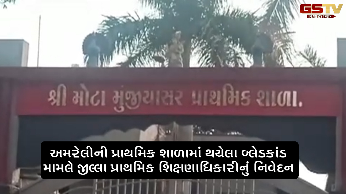 અમરેલીની પ્રાથમિક શાળામાં થયેલા બ્લેડકાંડ મામલે જીલ્લા પ્રાથમિક શિક્ષણાધિકારીનું નિવેદન
