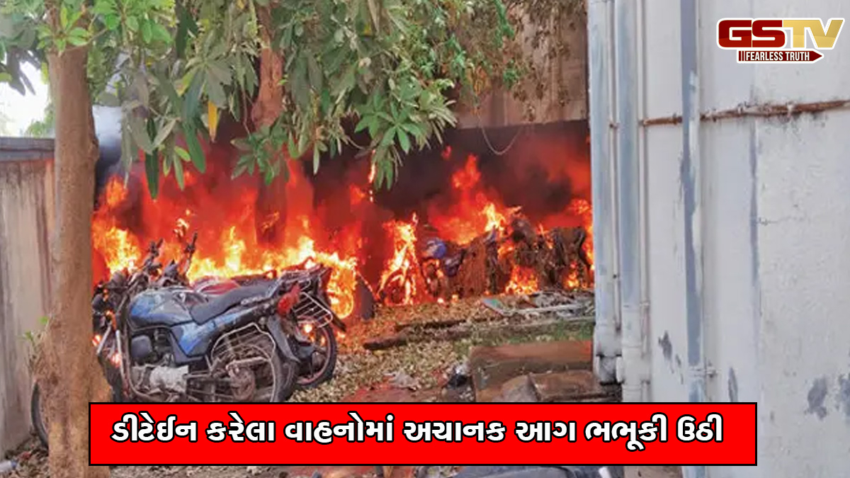 આણંદ: બોરસદ પોલીસ સ્ટેશનના પાર્કિગમાં આગ લાગતાં 25 વાહનો બળીને ખાખ, આગ કઈ રીતે લાગી તે હજુ અકબંધ
