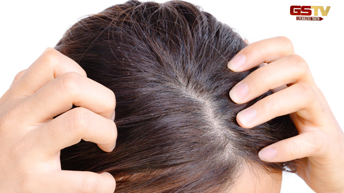Hair Care: વાળ મૂળમાંથી થશે મજબૂત, ઘરે જ આ વસ્તુઓ મિક્સ કરીને બનાવો ઔષધીય ગુણોથી ભરપૂર તેલ