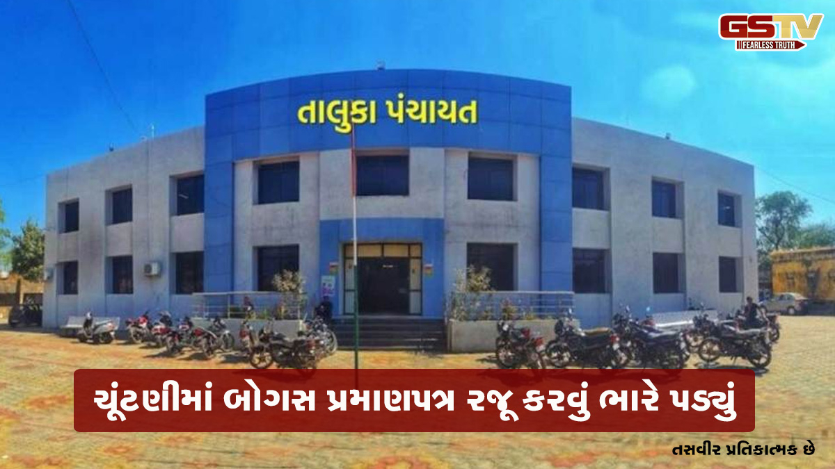 નકલી આદિવાસી પ્રમાણપત્ર રજૂ કરવું ભારે પડ્યું, પંચમહાલ જિલ્લા વિકાસ અધિકારીએ સભ્યપદેથી દૂર કર્યો