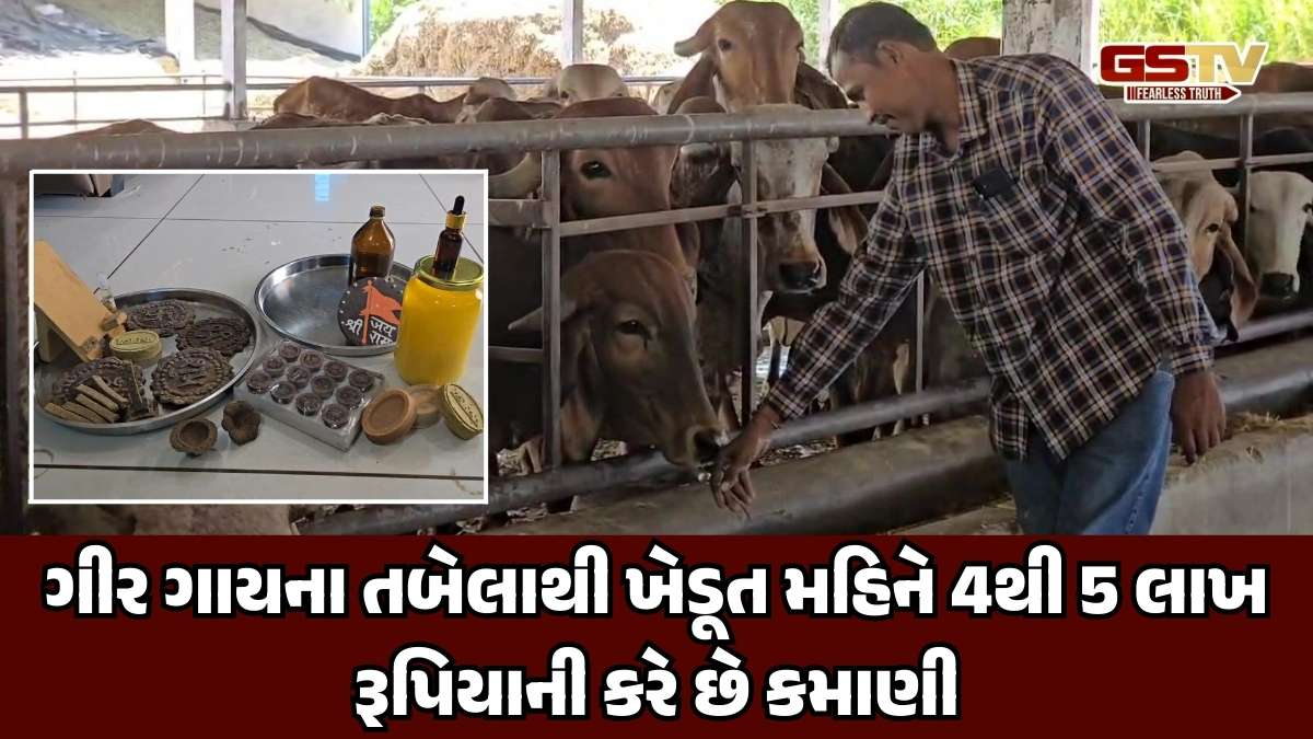 સાબરકાંઠાના ખેડૂતને ગીર ગાય ફળી, દૂધના વ્યવસાયે અપાવી આંતરરાષ્ટ્રીય ક્ષેત્રે નવી ઓળખ