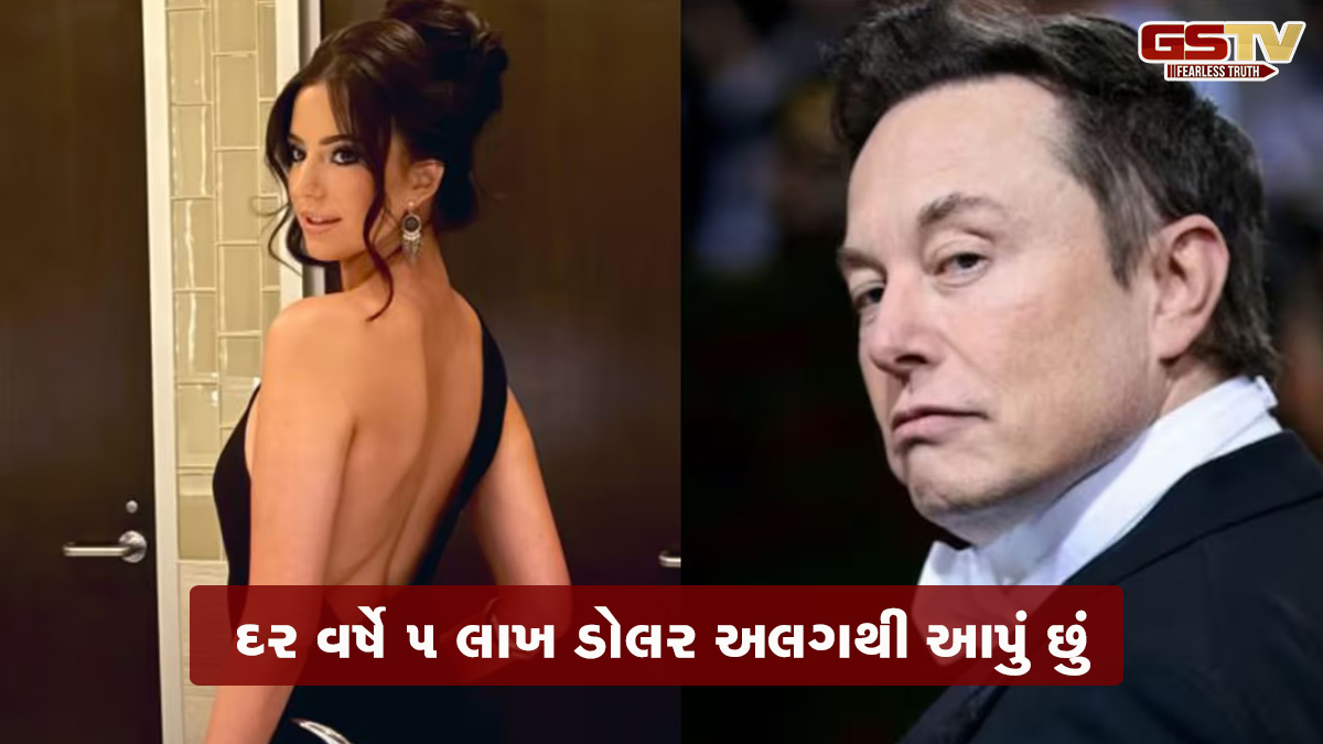 મને ખબર નથી આ 13મું બાળક મારું છે કે નહીં, છતાં મેં ઈન્ફ્લૂએન્સરને 20 કરોડ આપ્યા; મસ્કે કરી સ્પષ્ટતા