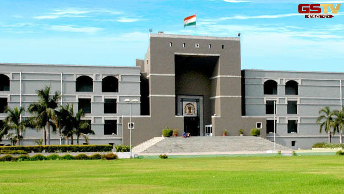 Ahmedabad news: રખડતા ઢોર, બિસ્માર રોડ, ટ્રાફિકની સમસ્યાને લઈ કન્ટેમ્ટ અરજી હાઈકોર્ટમાં સુનાવણી, ડ્રાઈવ ચાલુ રાખવા કોર્ટનો આદેશ