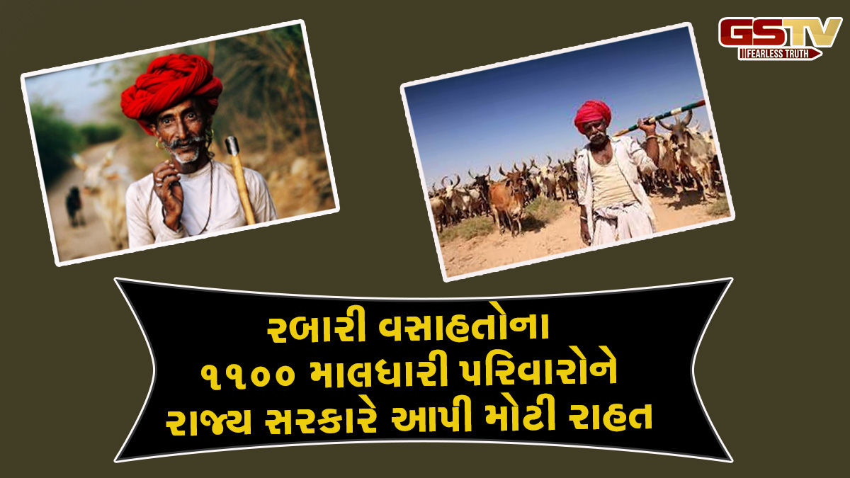 Ahmedabad news; અમદાવાદના 1100 માલધારી પરિવારોને સરકારે આપી રાહત, મળશે જમીનનો કાયમી માલિકી હક