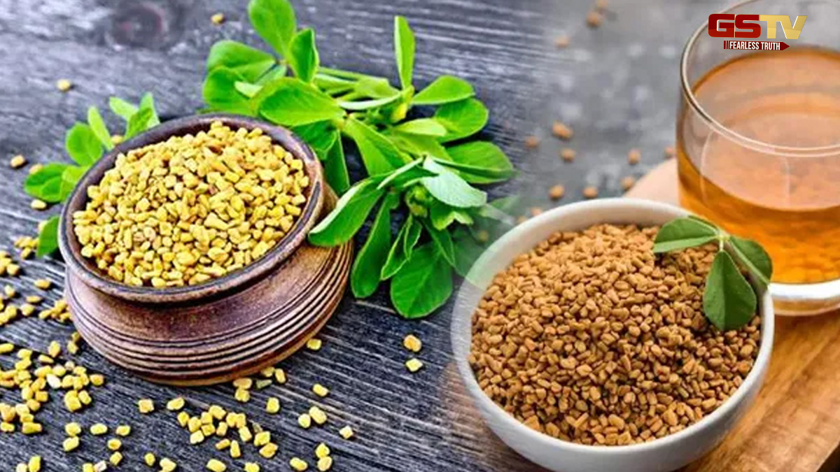 Health Tips : મેથીના દાણાનું પાણી પીવાથી થાય છે અગણિત લાભ, તમારૂ શરીર રહેશે નિરોગી