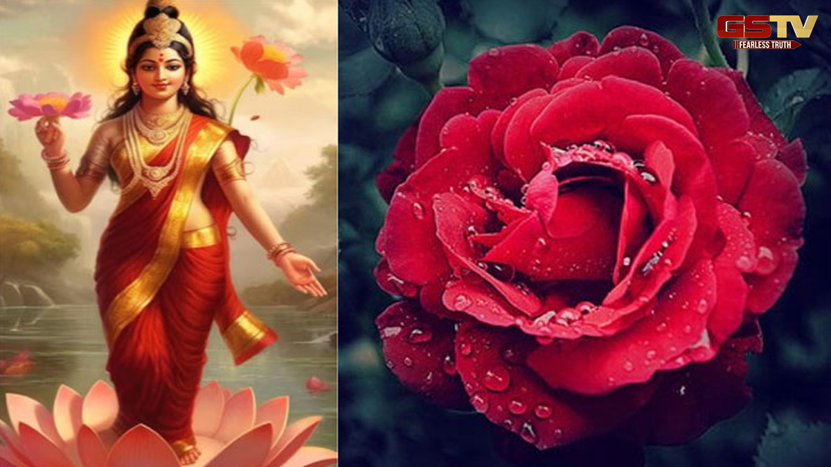ભગવાનને ગુલાબના ફૂલો ચઢાવવા કે નહીં, શું તમે કરો છો આ ભૂલ?