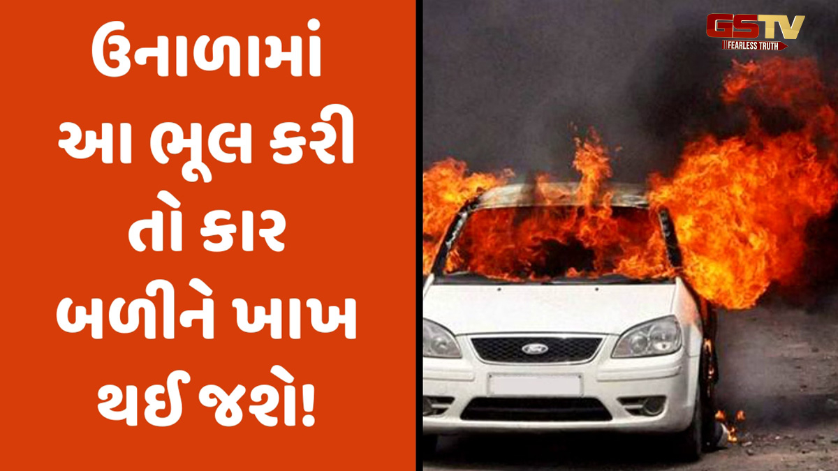 Car Safety Tips: બળીને રાખ થઈ જશે તમારી કાર! ઉનાળામાં ન કરો આ ભૂલો