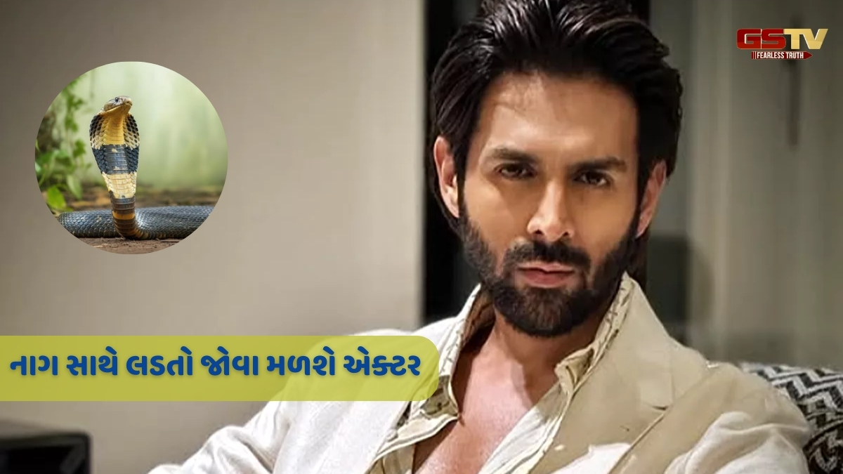 'Naagzilaa' માં ડબલ રોલમાં જોવા મળશે Kartik Aaryan! આ ફિલ્મ સાથે છે કનેક્શન