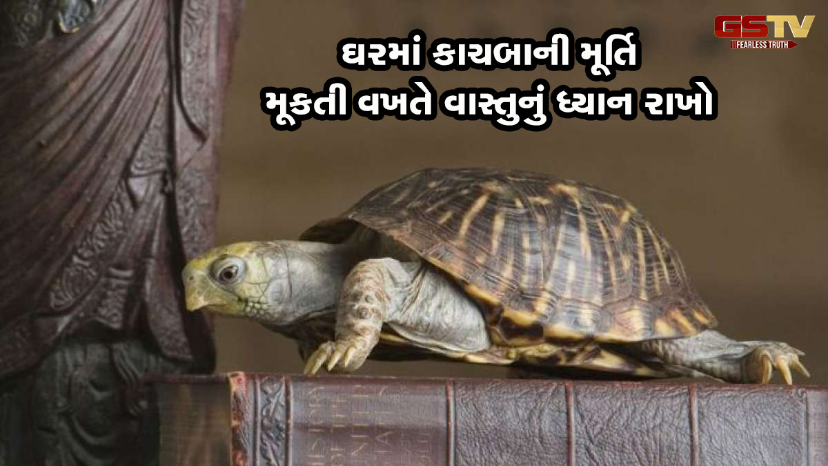 Religion: ઘરમાં આ જગ્યાએ કાચબો રાખશો તો થશે ધનનો વરસાદ, ખોટી જગ્યાએ મુકશો તો થશો બરબાદ