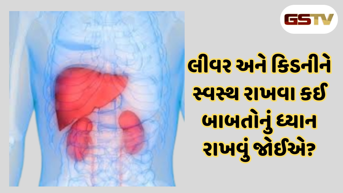 Health Tips: લીવર અને કિડનીને સ્વસ્થ રાખવા માંગતા હો, તો આ મહત્વપૂર્ણ બાબતો રાખો યાદ