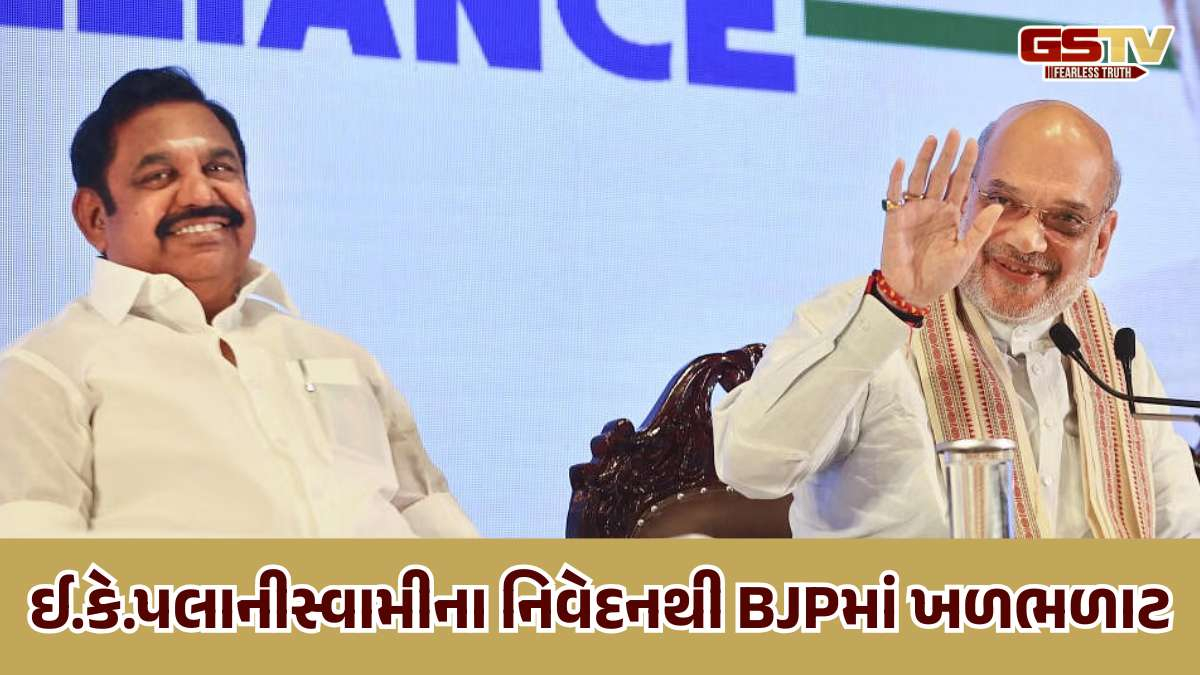 AIADMK અને ભાજપના ગઠબંધનમાં તિરાડ, પલાનીસ્વામીના નિવેદથી રાજકારણ ગરમાયું