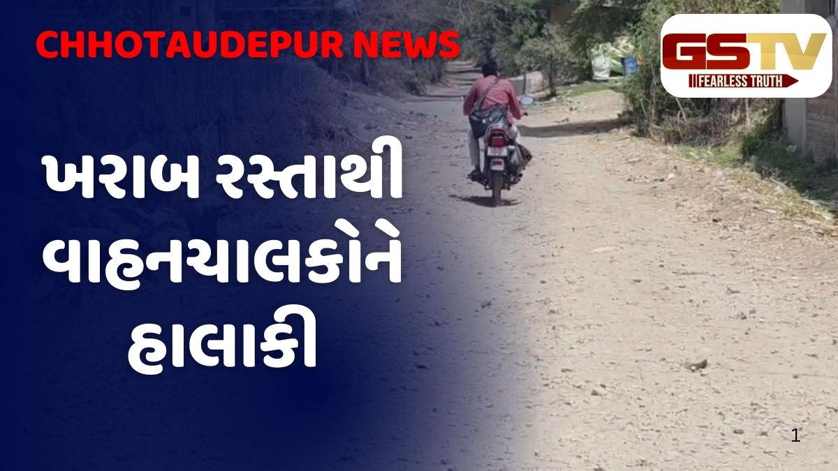 Chhotaudepur News: નસવાડીમાં કથળેલા રોડથી લોકો હેરાન, રસ્તા પર નથી થતું ડામરનું રી-સરફેસિંગ