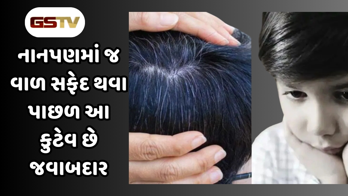 Hair Care : નાની ઉંમરમાં જ વાળ થવા લાગ્યા સફેદ, તમારી આ ખરાબ ટેવ છે જવાબદાર! 