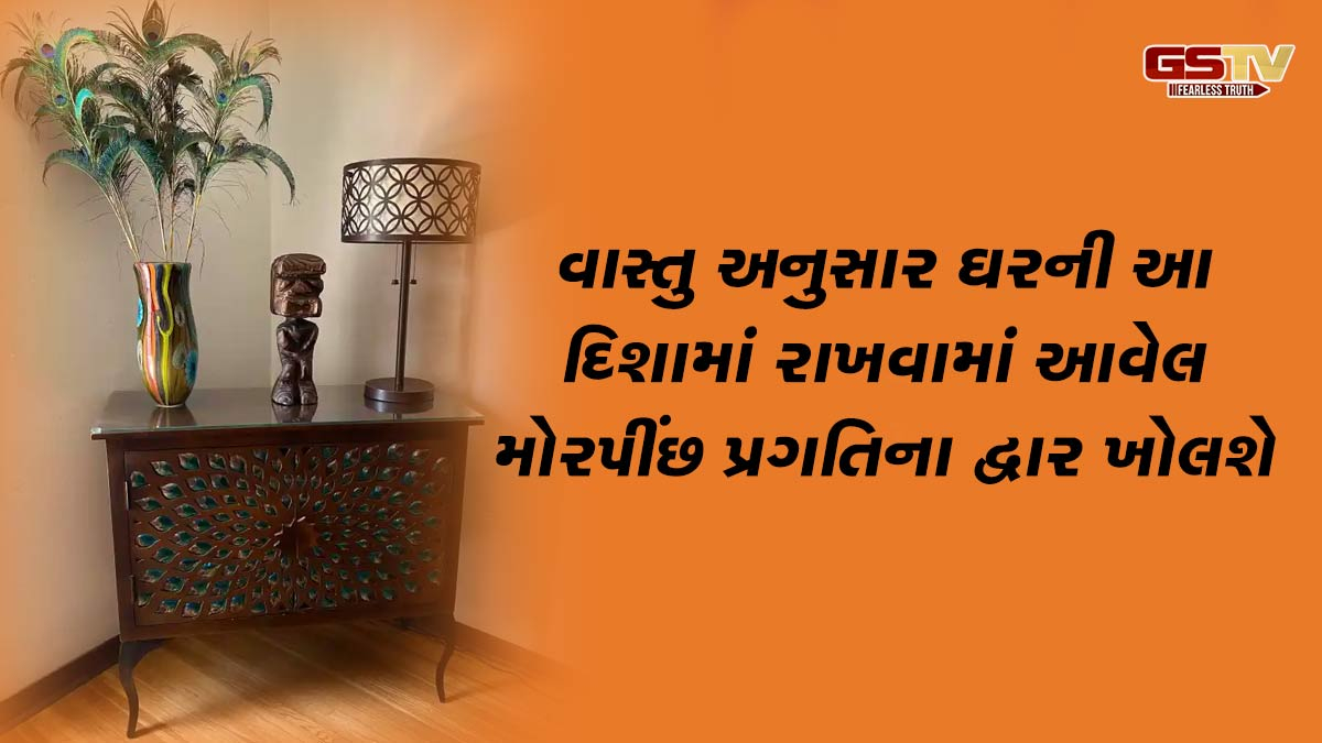 Vastu Tips: વાસ્તુ અનુસાર ઘરની આ દિશામાં રાખવામાં આવેલ મોરપીંછ પ્રગતિના દ્વાર ખોલશે