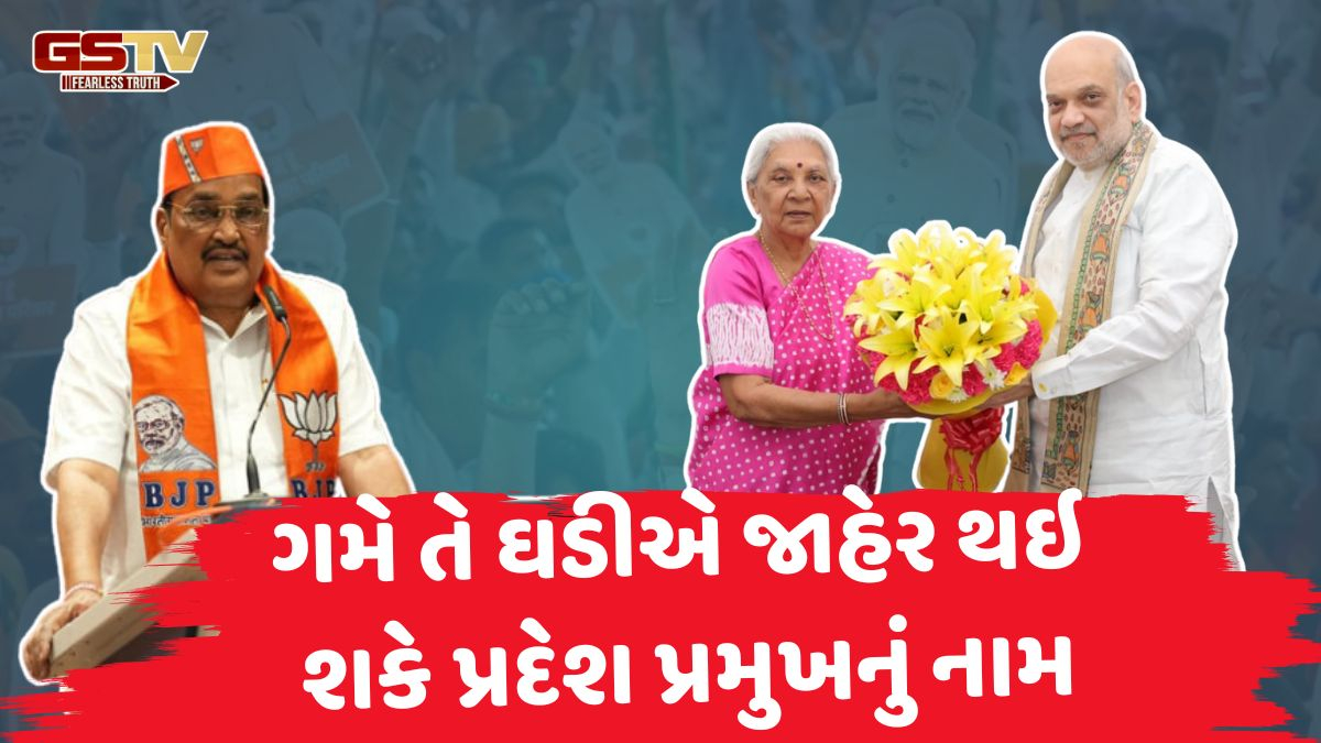 ગુજરાત ભાજપના પ્રદેશ પ્રમુખ મુદ્દે આંતરિક ખેંચતાણ; શાહ,પાટીલ,આનંદીબેન જૂથમાંથી કોણ ફાવશે? દિલ્હી પર નજર મંડાઇ