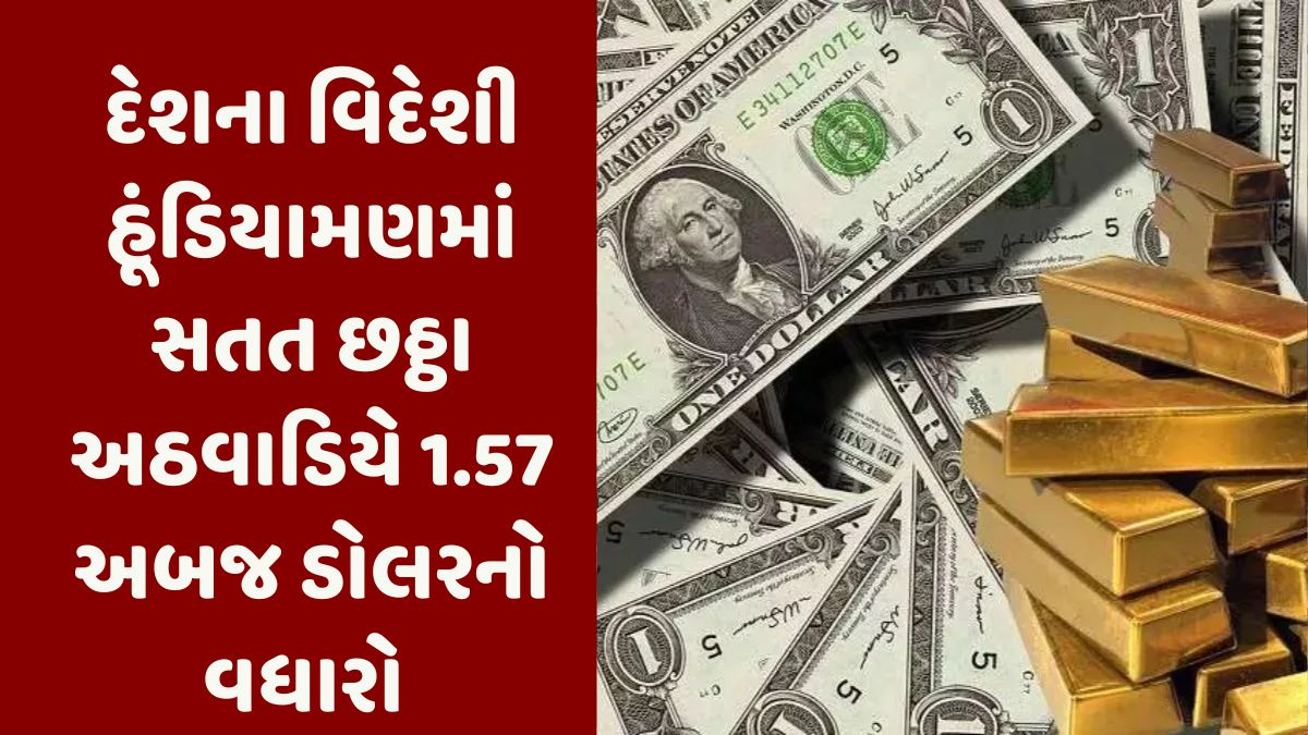 દેશના વિદેશી હૂંડિયામણમાં 1.57 અબજ ડોલરના વધારાથી 677.83 અબજ ડોલર થયો