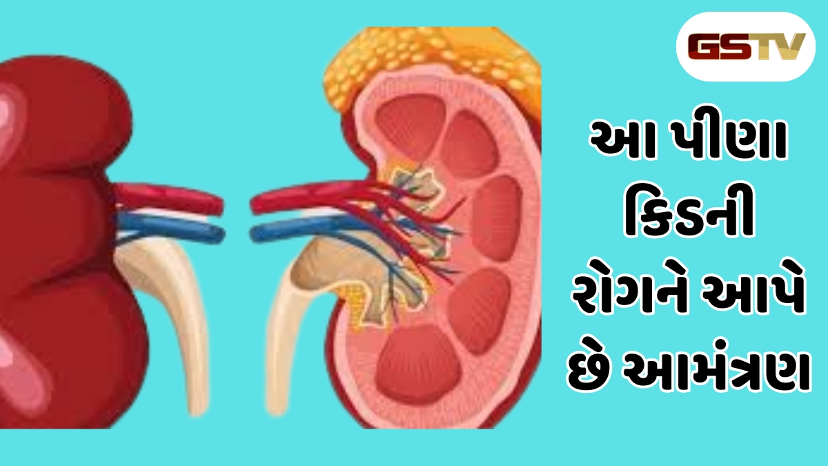 Health Tips: દરરોજ પીવામાં આવતા 5 પીણાં કિડનીને પહોચાડશે ગંભીર નુકસાન, આજે જ આહારમાંથી કરો દૂર