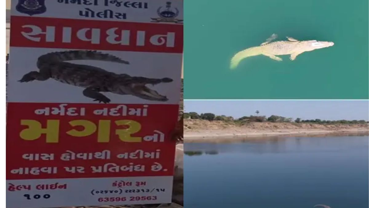 Vadodara news: નર્મદા પરિક્રમા દરમિયાન મગર દેખાયો, તંત્રની ચેતવણી છતાં લોકો નદીમાં સ્નાન કરતા દેખાયા
