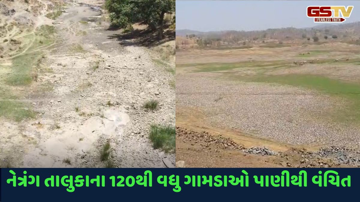 Bharuch news: નેત્રંગના 120થી વધુ ગામડાઓ સિંચાઈના પાણીથી વંચિત, ખેડૂતોએ કેનાલ-ડેમ તાત્કાલિક સુધારવાની કરી માગ