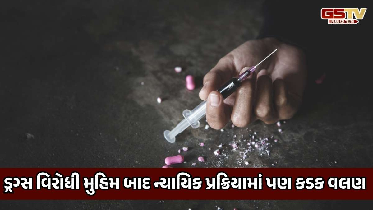 રાજ્યમાં ડ્રગ્સને લગતા કેસમાં કોર્ટનું કડક વલણ, બે આરોપીઓને 10 વર્ષની કેદ સાથે 1 લાખનો દંડ