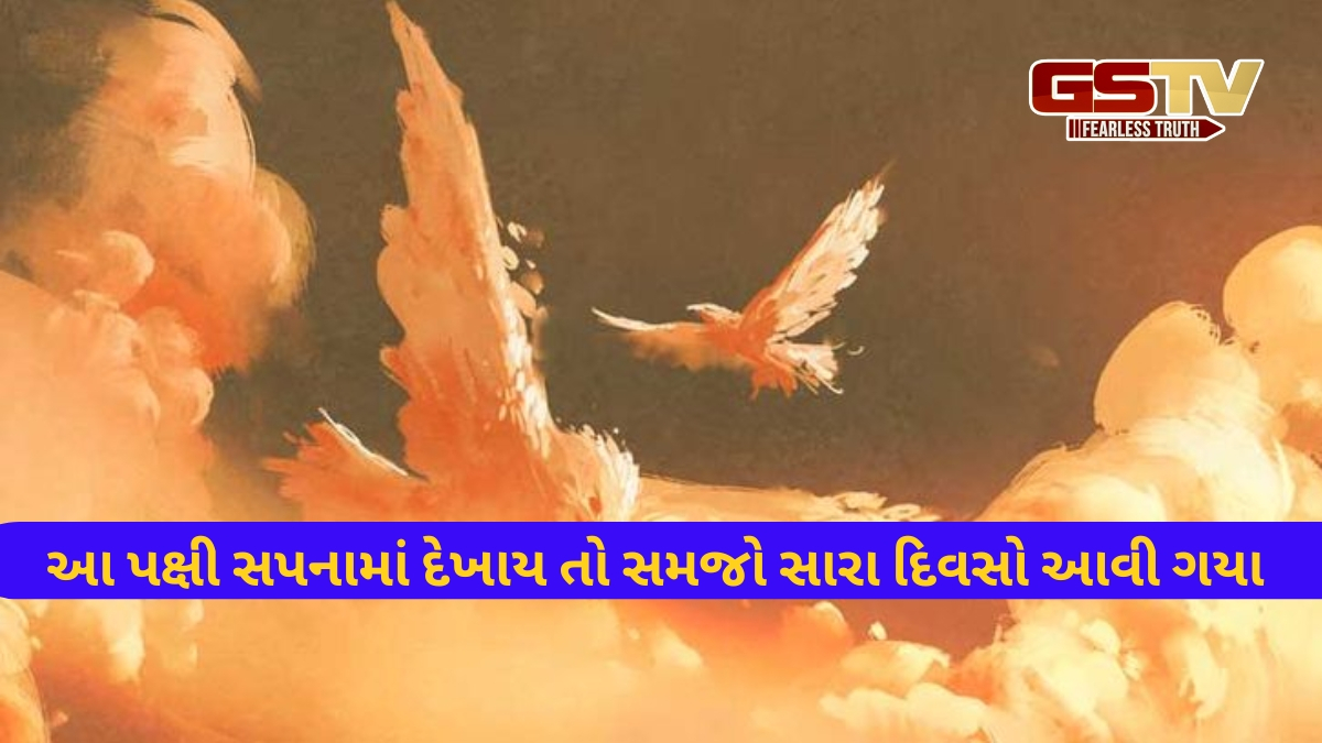Religion: જો તમને સપનામાં આ 3 પક્ષીઓ દેખાય, તો તમારા બધા દેવા માફ થઈ જશે
