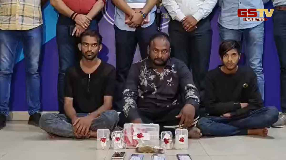 Surat News: પ્રતિબંધિત MD ડ્રગ્સનું વેચાણ કરતાં 3 દબોચાયા, ઈન્સ્યુલિન સિરીંજ સહિતનો મુદ્દામાલ કબ્જે