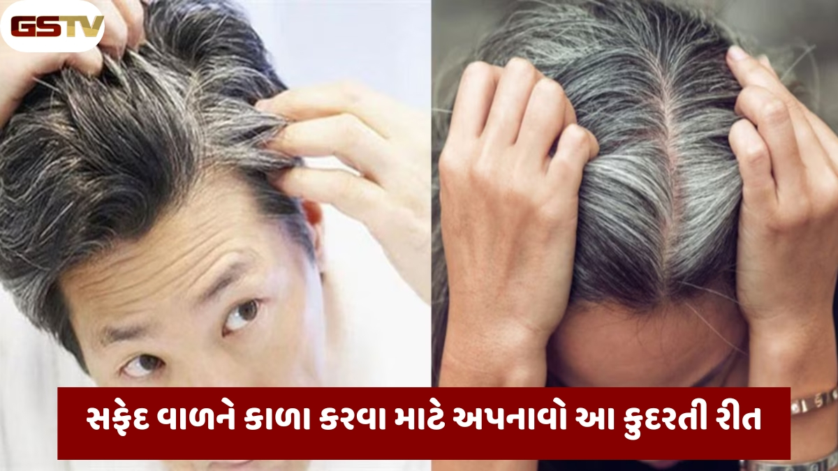 Hair Care : સફેદ વાળ કાળા થઈ જશે, મહેંદી લગાવવાને બદલે અપનાવો આ કુદરતી રીત