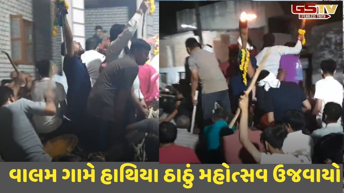 Mehsana news:વિસનગરના વાલમ ગામમાં હાથિયા ઠાઠું મહોત્સવ ઉજવાયો
