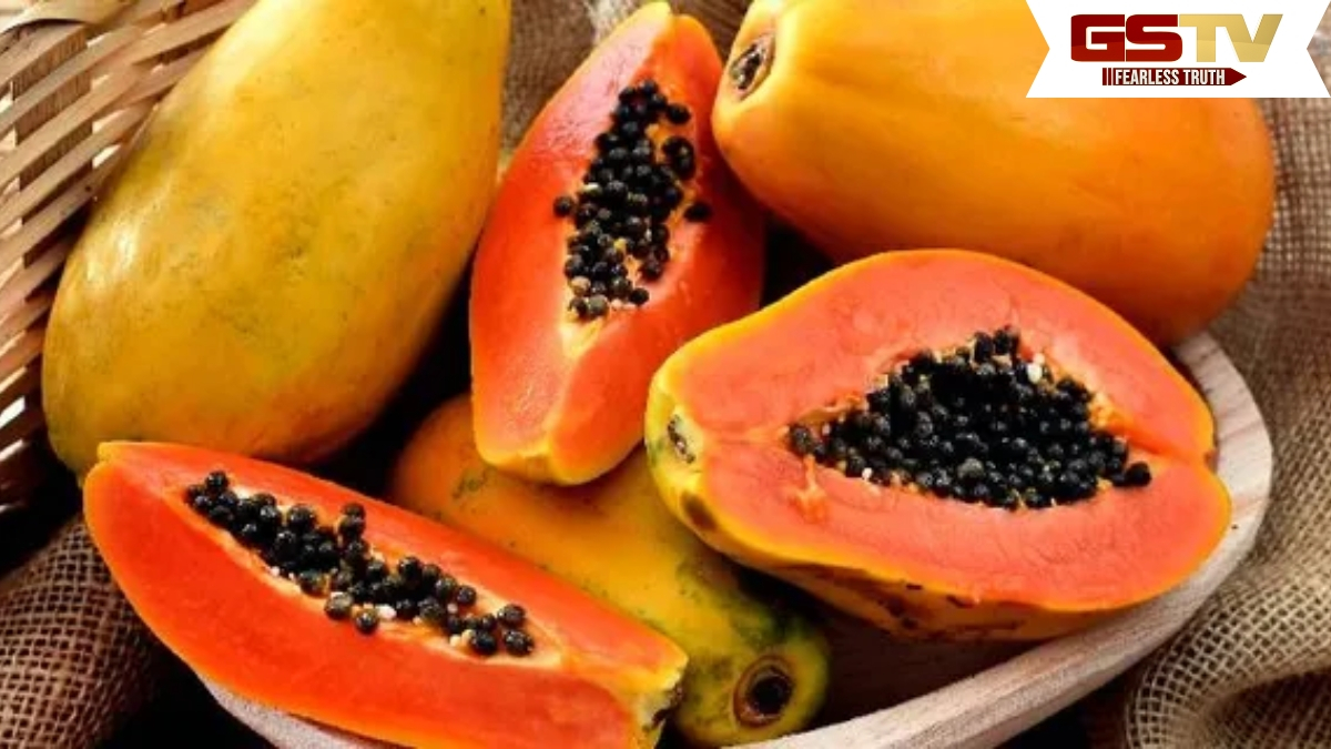 Health Tips : ઉનાળામાં પપૈયા ખાવા જોઈએ કે નહીં? જાણ તેના ફાયદા અને ગેરફાયદા