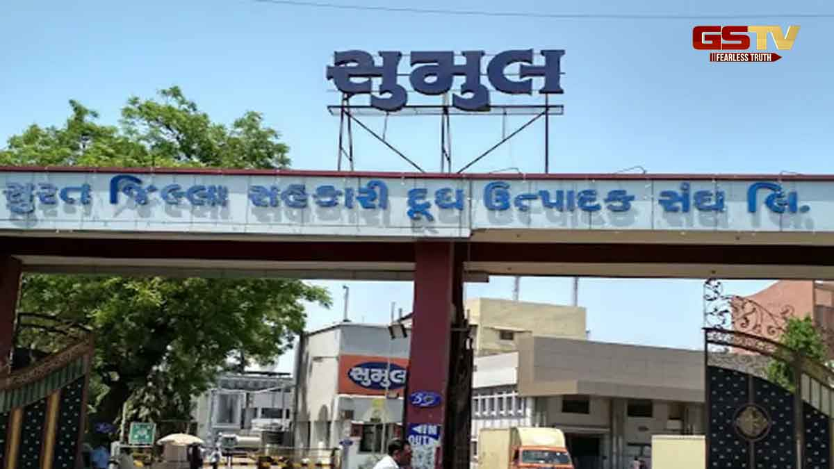 Tapi News: સુમુલ ડેરીની પશુપાલકો માટે જાહેરાત, દૂધના કિલો ફેટે ચૂકવશે 120 બોનસ