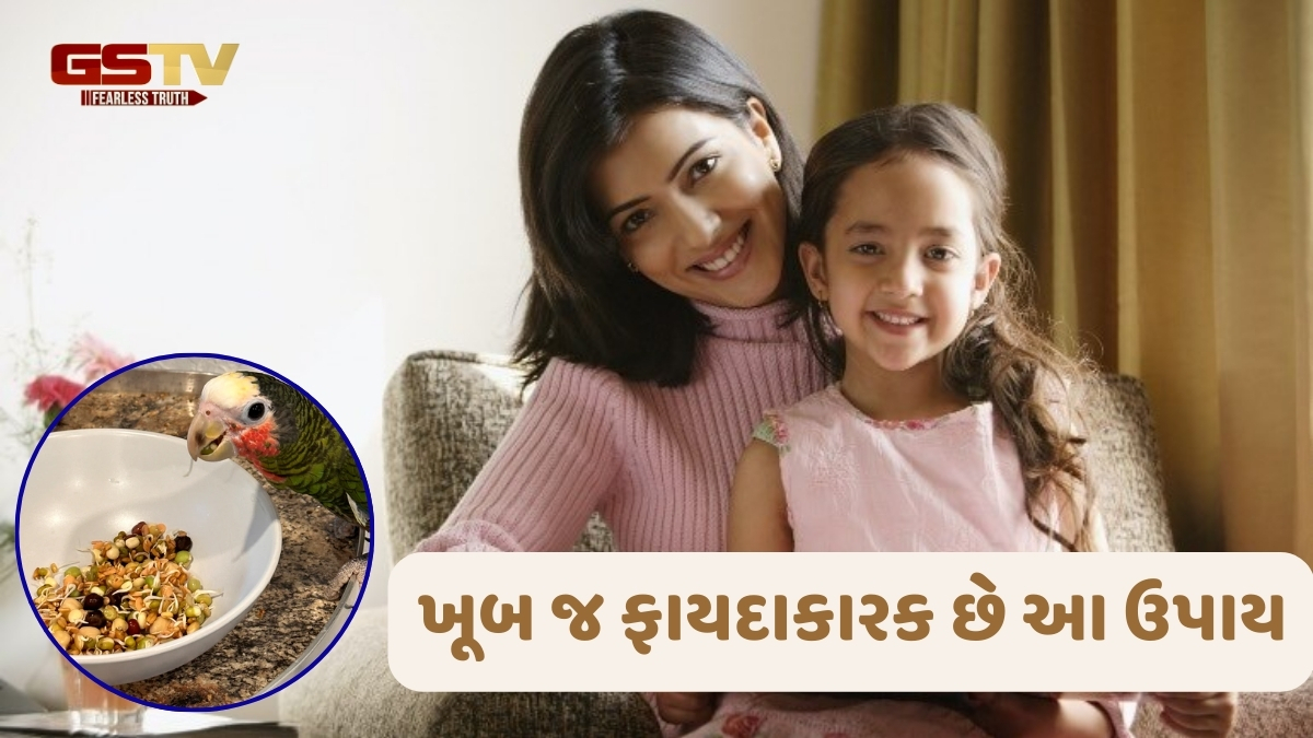 માતાઓએ પોતાના બાળકોની સફળતા માટે અપનાવવો જોઈએ આ ઉપાય, દરેક ક્ષેત્રમાં કરશે પ્રગતિ!