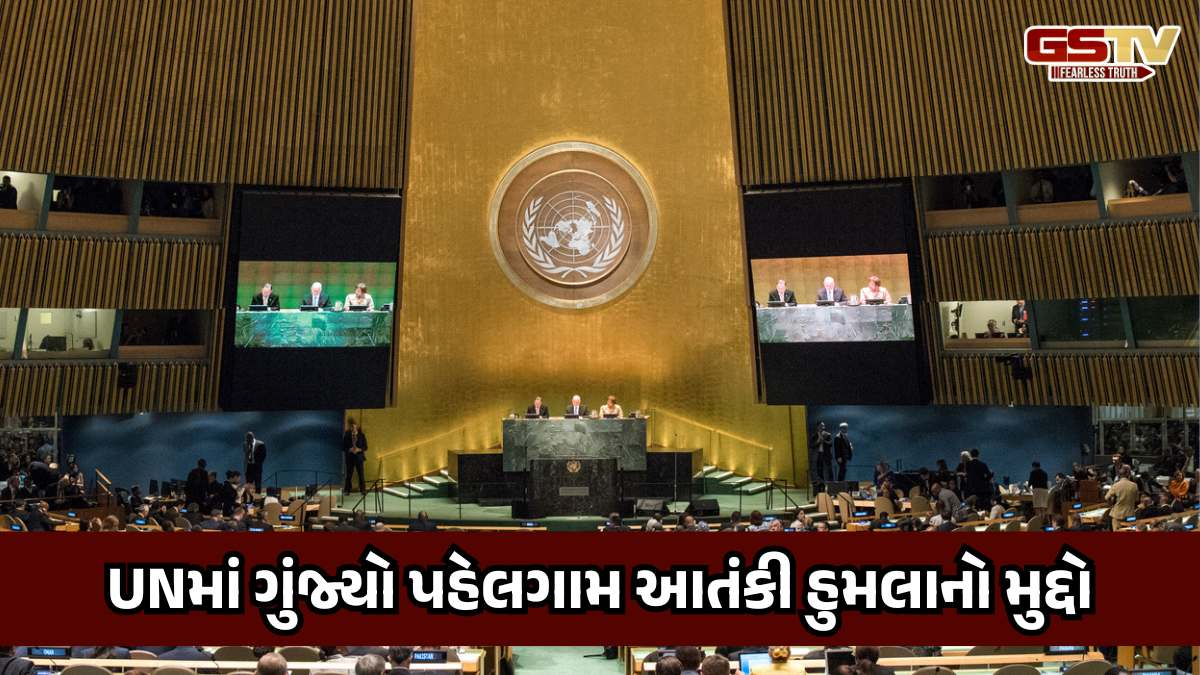 પહેલગામમાં થયેલા ભયાનક આતંકવાદી હુમલાના પડઘા સંયુક્ત રાષ્ટ્રમાં પડ્યા, સંયમ રાખવા કરાઈ અપીલ
