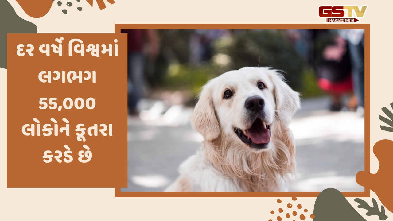 Religion:કૂતરા કેમ અને ક્યારે કરડે છે? જ્યોતિષ શાસ્ત્રમાં બતાવ્યો છે તેનાથી બચવાનો ઉકેલ