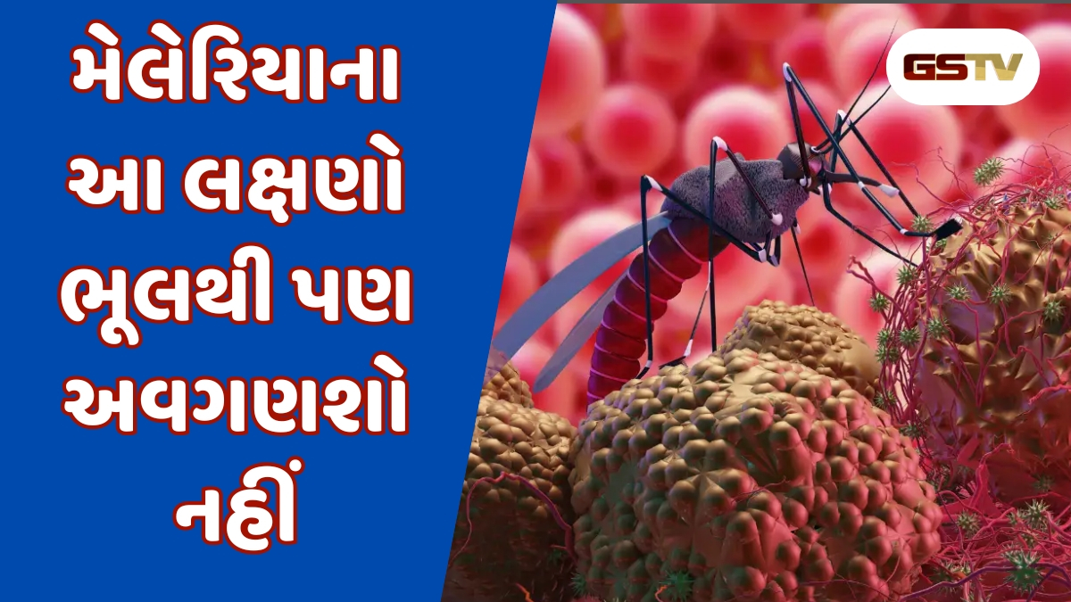 World Malaria Day 2025: આ 6 લક્ષણોને ન અવગણશો, નહીં તો જઈ શકે છે જીવ