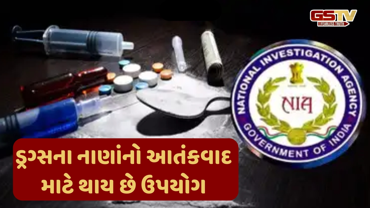 મુંદ્રા પોર્ટે પકડાયેલા ડ્રગ્સનું પહેલગામ આતંકી કનેક્શન, NIAએ કર્યો મોટો દાવો
